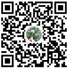 廣州波鐠展覽設(shè)計(jì)有限公司